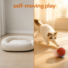 Zoomie Ball interactive pet toy — detail photo 3